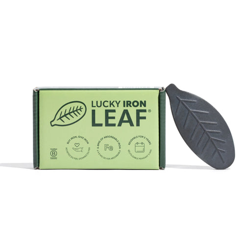 Wholesale - Lucky Iron Leaf - Casepack 20